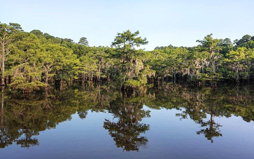 Top 5 những địa điểm du lịch nổi tiếng ở Texas mà mọi người ít biết đến