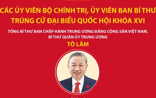 Các Ủy viên Bộ Chính trị, Ủy viên Ban Bí thư trúng cử đại biểu Quốc hội khóa XVI