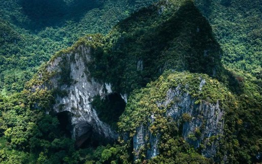 Kho báu sinh học chưa được khám phá giữa đại ngàn Trường Sơn