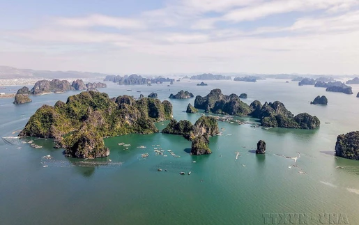 Du lịch Việt Nam 2026: Thích ứng để bứt phá