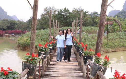 "Đảo hoa" khoe sắc giữa thiên nhiên di sản