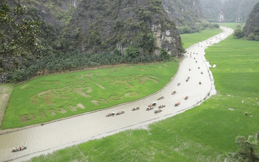 Ninh Bình dệt bức tranh bằng lúa khổ lớn giữa muôn trùng núi non