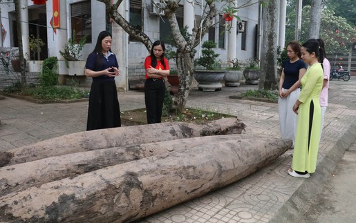 Xác định niên đại của ba cọc gỗ cổ phát hiện tại Ninh Bình