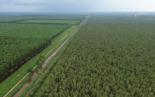 "Hương rừng U Minh" quảng bá nét văn hóa đặc trưng của vùng đất Cực Nam Tổ quốc