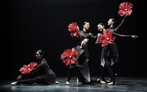 Đêm ballet 'GAT' mở đầu chuỗi giao lưu văn hóa Việt - Hàn