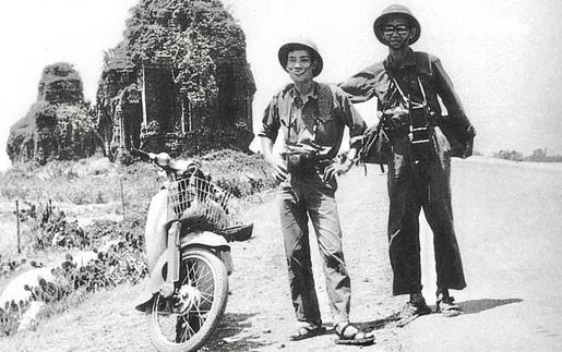 
"Chỉ cây đời mãi xanh tươi"