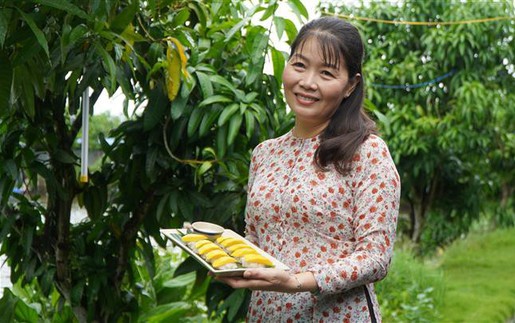 Du lịch nông nghiệp mở hướng tăng giá trị cho ngành hàng xoài