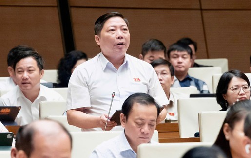 Đại biểu Quốc hội đề nghị xác định rõ 'biên giới' của Luật Xuất bản trên không gian mạng