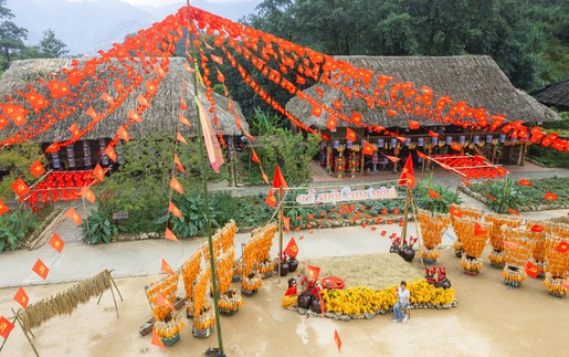 Dịp 2/9 này, lên Fansipan khám phá mùa vàng thổ cẩm, "săn" hoa xác pháo, dự lễ thượng cờ
