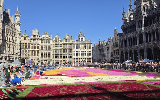 Chiêm ngưỡng thảm hoa Brussels - Di sản Thế giới UNESCO