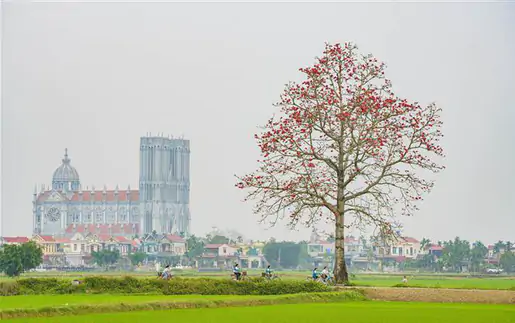 Ninh Bình lọt đề cử Điểm đến mới nổi hàng đầu châu Á 2026