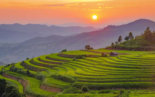Vẻ đẹp ruộng bậc thang Pu Nhi, Điện Biên