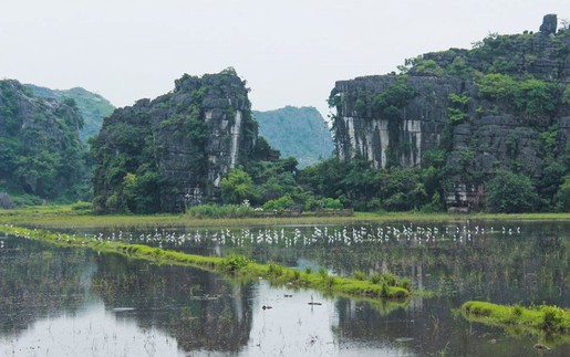 'Nàng thơ Tam Cốc' khoe vẻ đẹp hiếm có giữa sắc Thu