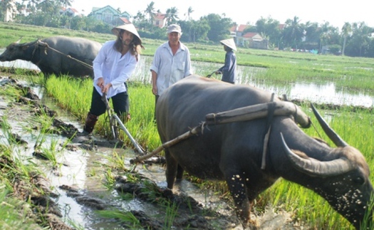 Tây thích thú làm nông dân Việt