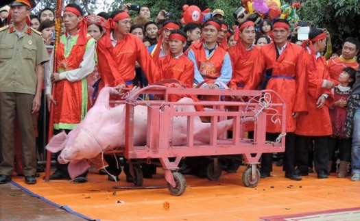 Animals Asia phản đối 'lễ hội tàn bạo nhất Việt Nam': 'Lệch chuẩn' thì khó để hiểu nhau!