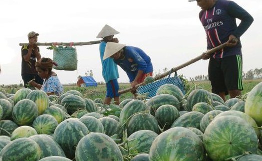 'Ăn' hàng Việt và... 'yêu' hàng Việt