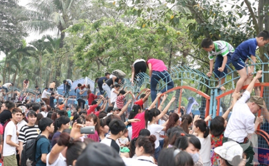 Chuyện 'leo rào công viên nước Hồ Tây': 'Có thể họ sẽ không thấy mình sai hay đáng xấu hổ đâu!'