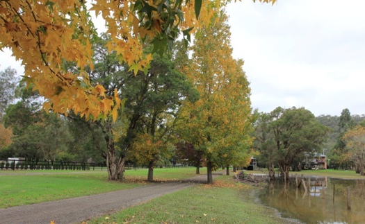 Thị trấn nhỏ ở New South Wales