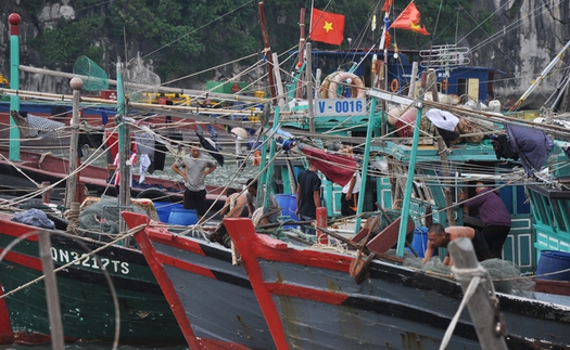 Cơn bão số 1: Đã có mưa dông tại các tỉnh Quảng Ninh, Nam Định