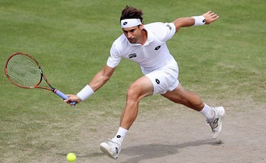 David Ferrer rút lui khỏi Wimbledon 2015