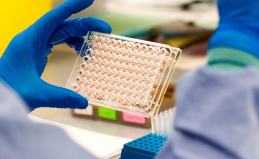 Bê bối doping của điền kinh Nga: Người trong cuộc nói gì?