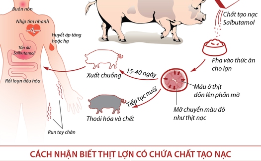 Từ ngày 1/1/2016: Mang thai hộ và nhận con nuôi cũng được hưởng chế độ thai sản