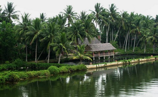 Chùm ảnh du lịch: Quảng Ngãi, 'Người đẹp ngủ trong rừng'