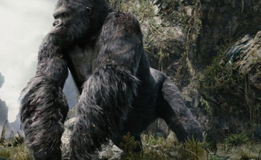 'Kong: Skull Island' lấy bối cảnh 'thời Việt Nam' thập niên 70?