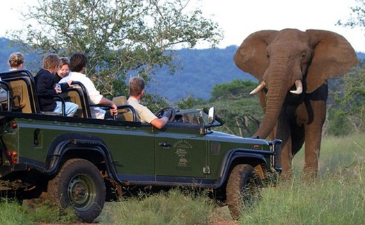 Tour Johannesburg - Cape Town: Nam Phi có gì lạ?