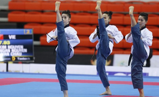 Khai mạc Liên hoan Võ thuật Quốc tế 2016: Đưa võ Việt lên tầm cao mới