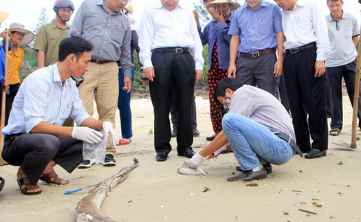 Cá chết ở miền Trung: Tổng Cục du lịch yêu cầu đảm bảo vệ sinh an toàn thực phẩm