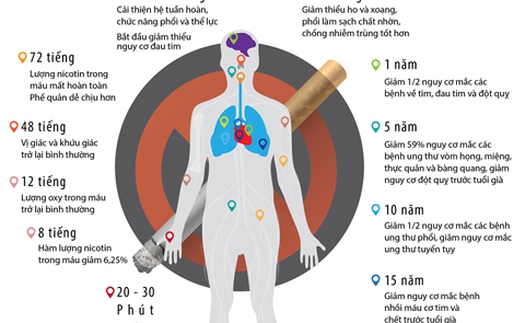 Ngừng hút thuốc lá chỉ sau 30 phút, bạn sẽ thấy ngay tác dụng này