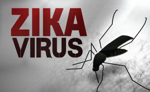 Mỹ thử nghiệm thành công vaccine phòng chống virus Zika trên động vật