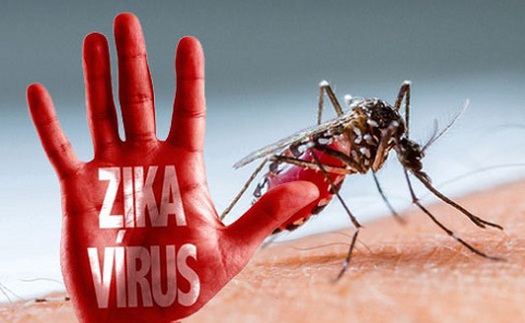 Phú Yên phát hiện bệnh nhân dương tính với virus Zika