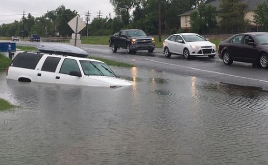 Mỹ: Mưa lũ ngập trắng Louisiana, Chính phủ ban bố tình trạng thảm hoạ