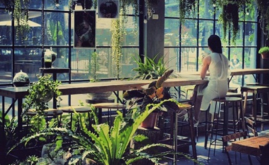 Gardenista Cafe: Uống cafe và 'sống chậm' ở đây thì tuyệt