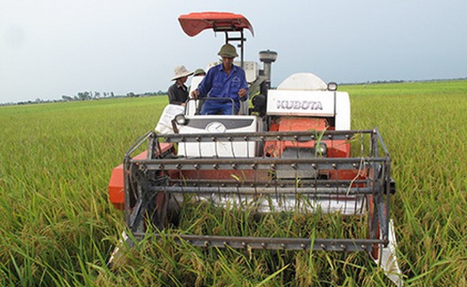 Học sinh được nghỉ học để giúp gia đình gặt lúa, chạy bão số 7