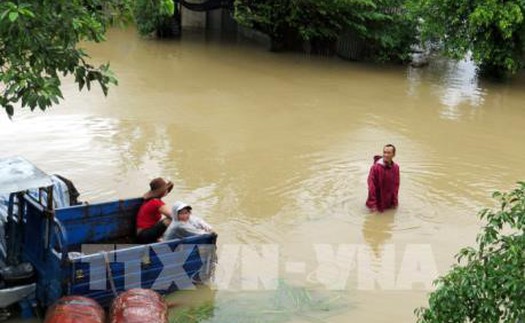 Được cứu sống sau 11 giờ đu bám trên cây tránh lũ