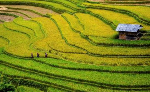 Tiếng trẻ thơ xé lòng đằng sau những vụ buôn bán phụ nữ, trẻ em