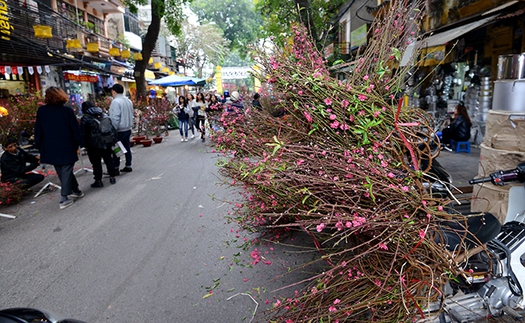 Hà Nội: Chợ hoa Hàng Lược 'vắng như chùa Bà Đanh' ngày cận Tết