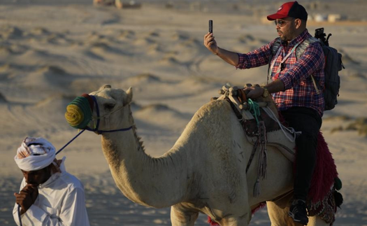 Du lịch Qatar bội thu mùa World Cup: Đến lạc đà cũng "còng lưng" làm thêm giờ vì khách quá đông 