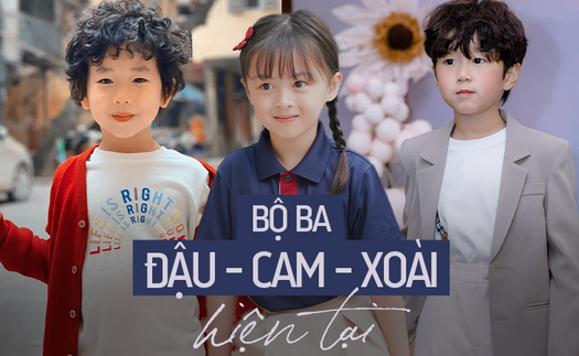 Bộ ba Cam - Xoài - Đậu hiện tại: 1 nhóc tỳ đạt giải kỳ thi Olympic Toán học Quốc tế!