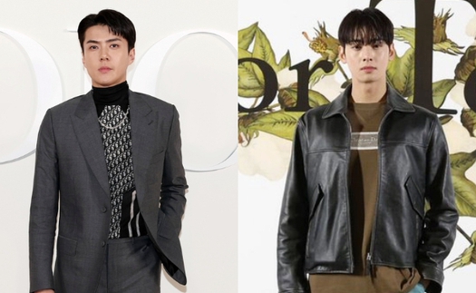 2 nam thần Kpop sang tận Ai Cập dự sự kiện: Sehun (EXO) lộ mặt bóng dầu, Cha Eun Woo mất điểm vì trang phục