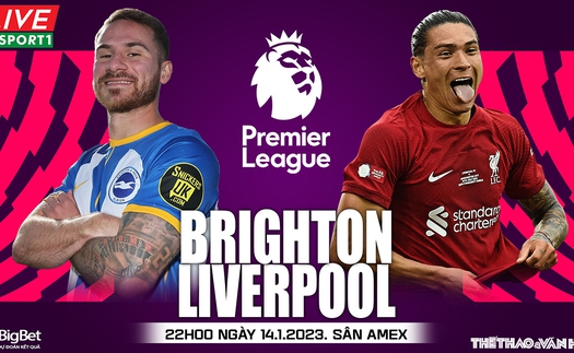 Nhận định bóng đá Brighton vs Liverpool (22h00, 14/1): Chờ Gakpo nổ súng