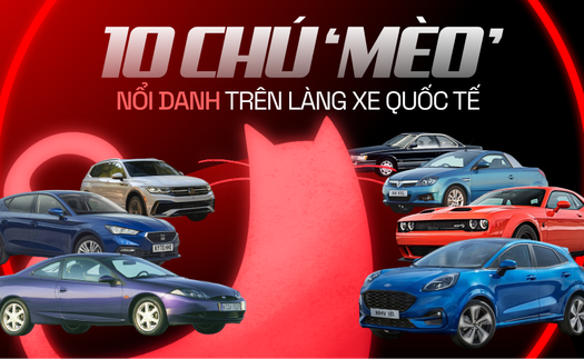 10 chú 'mèo' nổi danh trên làng xe quốc tế