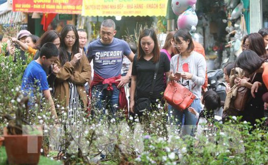 Những thú chơi tao nhã ngày Xuân của người Việt