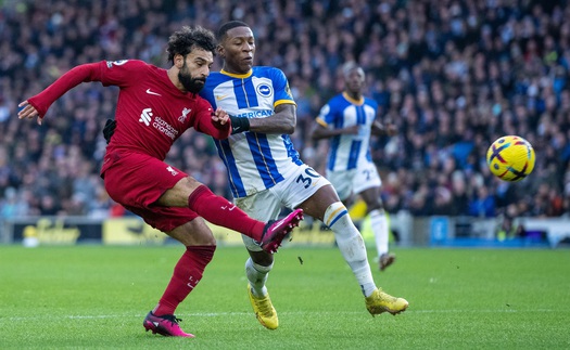 Link xem trực tiếp bóng đá Brighton vs Liverpool (20h30, 29/1), cúp FA vòng 4