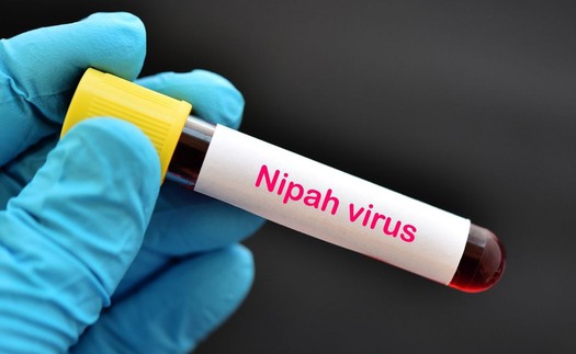 Indonesia kêu gọi cảnh giác với virus Nipah