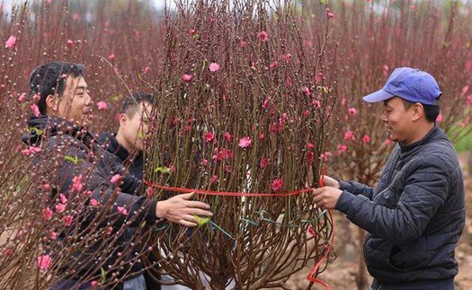 Chốt phương án nghỉ Tết Âm lịch 7 ngày, nghỉ lễ Quốc khánh 4 ngày