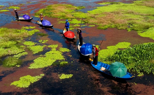 Từng bước phát triển du lịch U Minh Thượng tại Kiên Giang